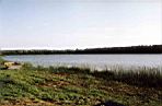 Czyste Jezioro Rogowskie
