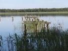 Najpierw zerknlismy na jezioro Sarbsko, pomost, ktry pamitalimy z poprzednich wizyt uleg biodegradacji.