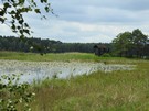 Uroczysko „wite ugi” - wiea widokowa (13,2 km).  16.06.2017