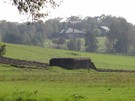 Bele. Schron bojowy nr 31, przy ktrym we wrzeniu odbywaj si rekonstrukcje. 04.10.2014