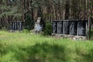 Las Kamionacz. Zagubione w lesie miejsce strace 499 pacjentw szpitala psychiatrycznego w Warcie. 04.06.2016