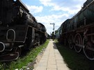 Karsznice. Skansen Lokomotyw.