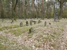 Wymysw Francuski. Cmentarz, na ktrym znajduje si ponad 700 mogi onierzy niemieckich z armii gen. Augusta von Mackensena oraz gen. Pawa Plehwego, polegych w 1914 r. 22.04.2017