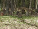 Wymysw Francuski. Cmentarz, na ktrym znajduje si ponad 700 mogi onierzy niemieckich z armii gen. Augusta von Mackensena oraz gen. Pawa Plehwego, polegych w 1914 r. 22.04.2017