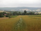 Wdrowalimy czerwonym szlakiem, szkoda e pogoda popsua nam widoki.