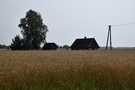 Kamienna Stara. Po wyjściu z lasu, idąc drogą pośród zbóż...