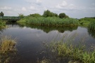 ...która doprowadziła nas do mostu. Tuż przed nim do Brzozówki dopływała Kumiałka, rzeki w tym miejscu utworzyły mały akwen.