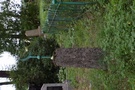 Bohoniki. Jeszcze tylko wizyta na cmentarzu tatarskim.