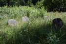 Wasilków. Macewy zgromadzone zostały w lapidarium.