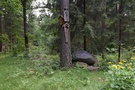 W stron Wasilkowa szlimy pocztkowo gwnie lasem.