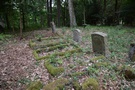W pobliskim Łęczynie weszliśmy na stary ewangelicki cmentarz.