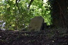 Stare Osieczno. Znajdujące się naprzeciw gościńca pozostałości cmentarza ewangelickiego.