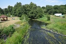 Stary Dworek. Nad Obrą.