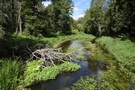 Gorzyca. Kolejne przejśćie nad Obrą.