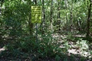 W lesie zaczy si pojawia tablice informujce, e idziemy wzdu terenu wojskowego.