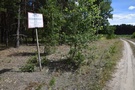 W lesie zaczęły się pojawiać tablice informujące, że idziemy wzdłuż terenu wojskowego.