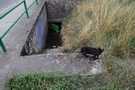 Oobok. Dalej kolejny most rolkowy K603b. W obu maszynownie zalane, jedynie tej drugiej pilnowa czarny kot.