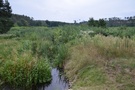 Pierwszą przerwę zrobiliśmy nad Lubniewką.