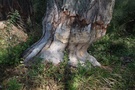 Park Narodowy "Ujście Warty".