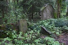Mimo wszystko udao nam si doj do ukrytego w lesie cmentarza ydowskiego znajdujcego si przed Boleszkowicami. 