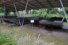 Gozdowice. Zwiedziliśmy Muzeum Pamiątek Wojsk Inżynieryjnych. 