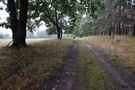 Dalej trasa biegła drogą między lasem a rozległymi łąkami. 