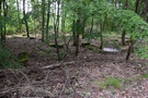 W lesie, przed PKP Dyszno, mały, opuszczony cmentarz.