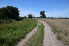 Polna droga pośród łąk, początkowo biegła wzdłuż Krępieli...