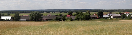 Widok z okolic fundamentw nieukoczonego obiektu na Moszczon Krlewsk.